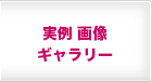 実例 画像ギャラリー